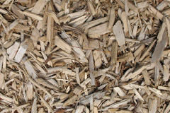 biomass boilers Daviot