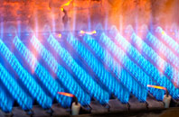 Daviot gas fired boilers